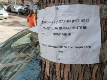 Попитаха невъзпитана госпожица как ще реагира, ако намери подобно нещо пред входната си врата