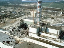 Вълците в Чернобил са развили устойчивост към раковите заболявания