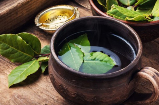 Чаят от дафинов лист е истинска магия при кашлица и хрема