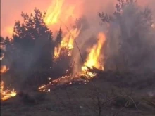 Горски от ЮЗДП се включиха в потушаването на голям пожар в местността "Климаш", унищожил 300 дка иглолистни култури