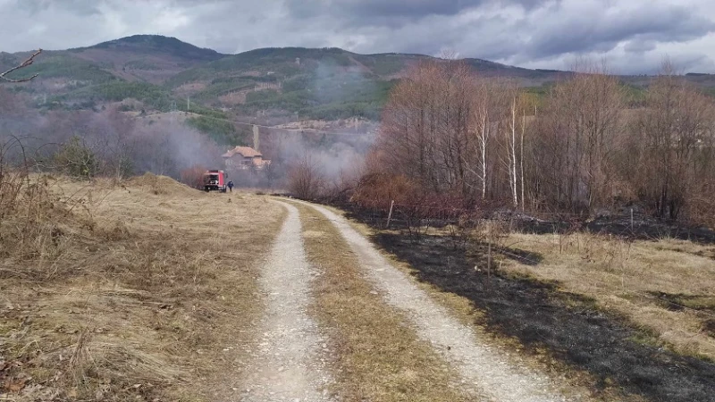 Овладян е пожарът край кюстендилското село Жиленци