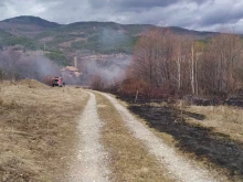 Овладян е пожарът край кюстендилското село Жиленци