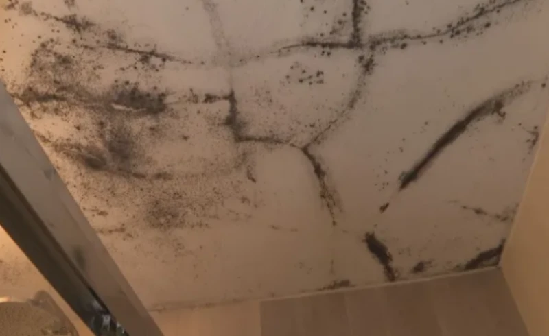 �������� �����: ���� �������, �� ���� ����� ������� � ������ � �� ���������