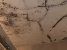 �������� �����: ���� �������, �� ���� ����� ������� � ������ � �� ���������