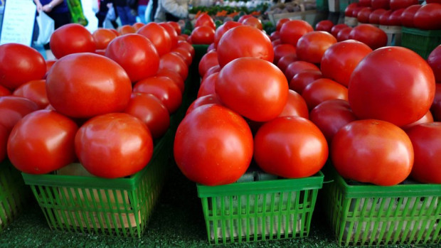Скоро доматите ще станат като екзотични култури, заяви Мариана Милтенова,