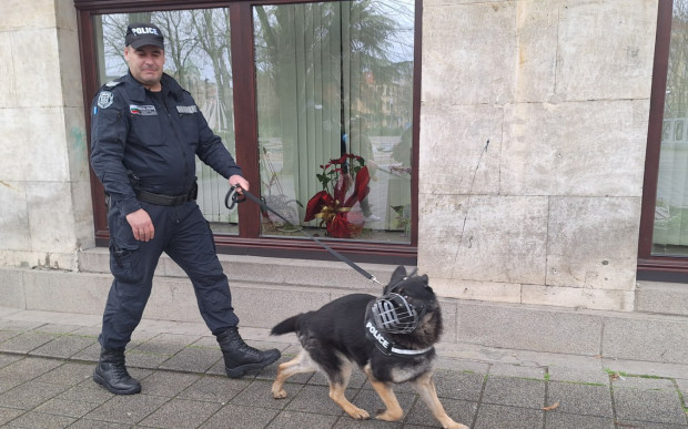 </TD
>Кучетата Аякс и Дарк от днес патрулират по улиците на