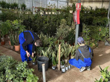 Ученици от Строителната гимназия в Бургас се грижат за екзотични цветя в Севиля