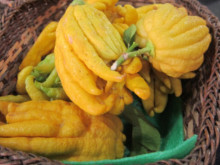 Този плод има странна форма, аромат на теменужки и противоракови свойства