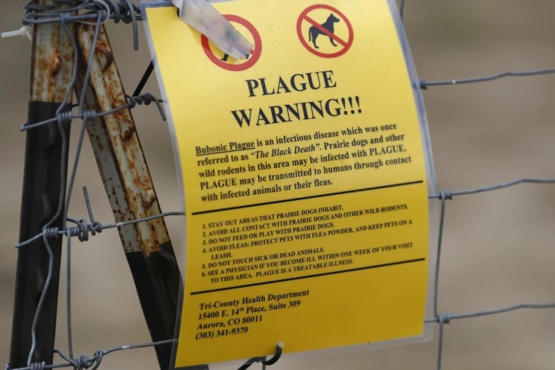 "Черната смърт" е в САЩ: Жител на Орегон е диагностициран с бубонна чума