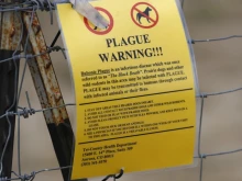 "Черната смърт" е в САЩ: Жител на Орегон е диагностициран с бубонна чума
