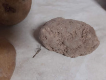 Най-новата измама по пазарите: Жена си купи картофи, няма да повярвате какво намери между тях