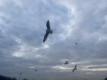 ���� ������ �� ����� ���� � ���������