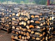 Хванаха камион с 30 кубика незаконни дърва за огрев в Плевенско
