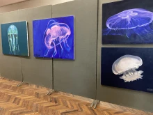Изложбата "Протоколи" може да се види във видинската художествена галерия