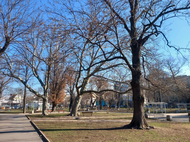 ����� ������� ��� ������, �� ����� �� ���� � �����