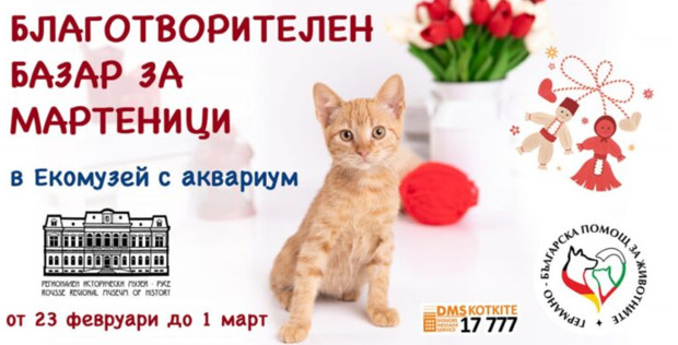 TD СНЦ Германо българска помощ за животните и Регионален исторически музей –