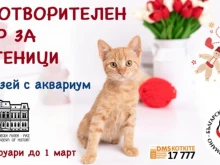 Благотворителен базар на мартеници в Русе помага на бездомни котки