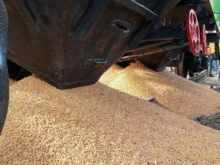 Полски фермери блокираха със зърно железопътната връзка с Украйна