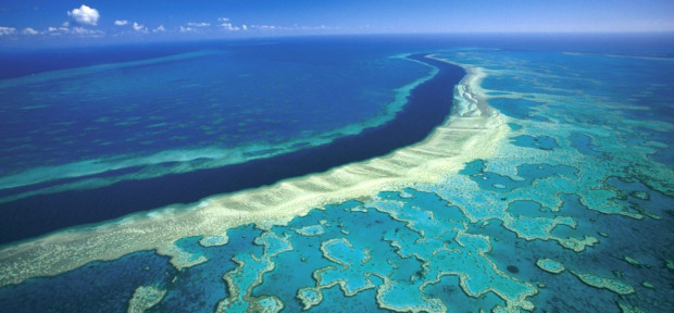 Големият бариерен риф разположен край североизточния бряг на Австралия е