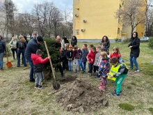 Засадиха 45 декоративни дръвчета в ЖК "Тракия" в Пловдив