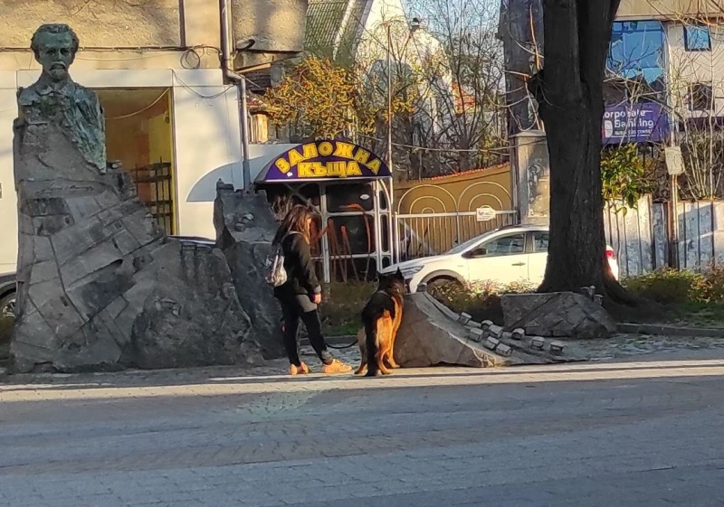 Пловдивчанка напои кучето си от обществена чешма, от която пият основно деца