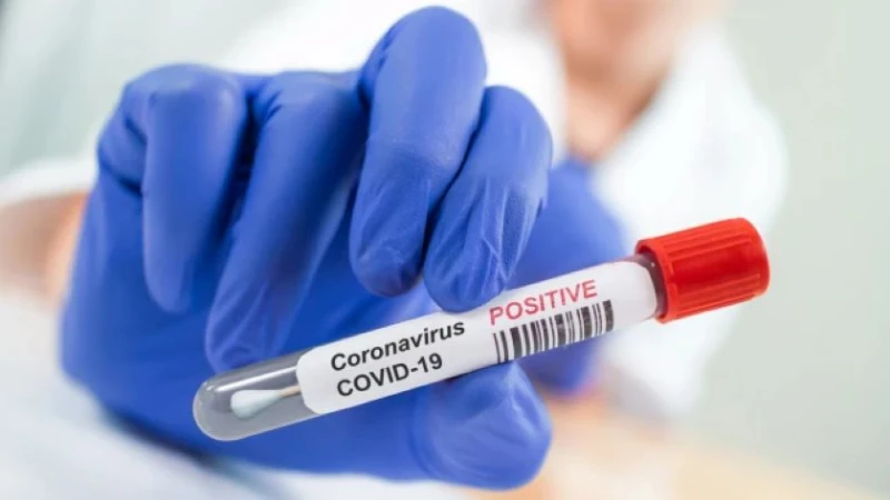 Без починали от коронавирус за последните 24 часа