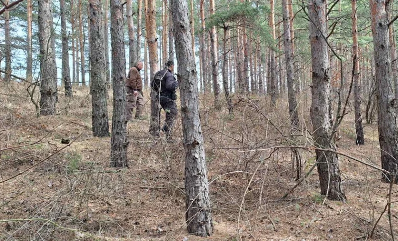 Горски служители се включват в издирването на Ивана от Дупница