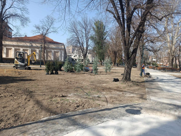 </TD
>Засаждат вече дръвчетата в Дондуковата градина, разбра Plovdiv24.bg. Над 65 вида