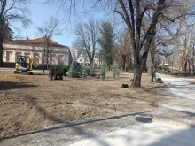 Започна залесяването на първата градска градина в Пловдив