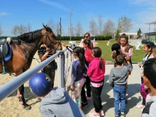 Занимания за децата от детските градини в конна база "Кабиле"
