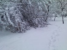 Снежни бури блокираха магистрали из Европа, студът идва към нас