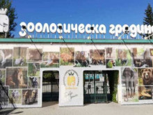 Зоологическата градина в София ще разработи проекти за опазване и защита на биоразнообразието в България