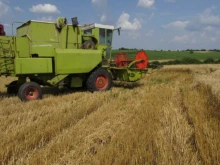 Земеделското министерство помага финансово на родни фермери