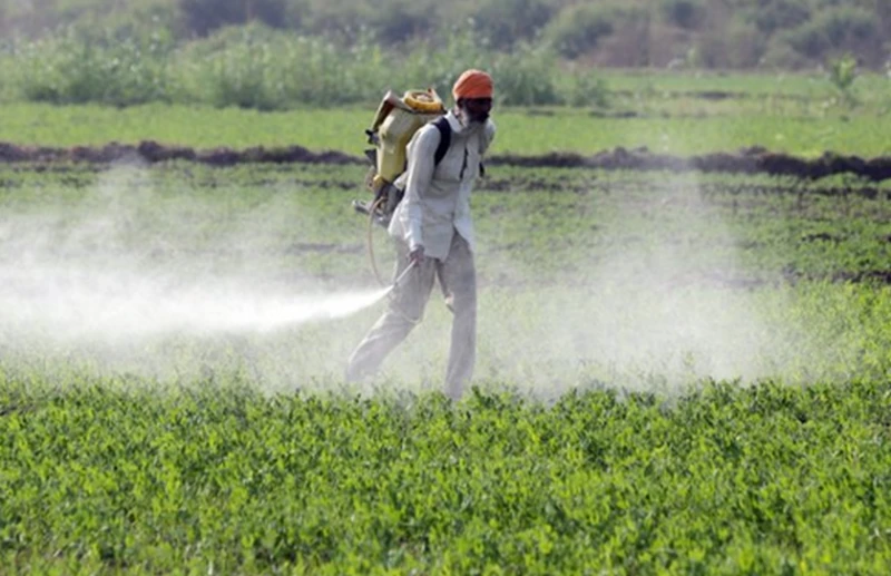 Агроном за пестицидите в земеделието: Притеснителното е в това, че се използват неправилно