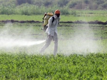 Агроном за пестицидите в земеделието: Притеснителното е в това, че се използват неправилно