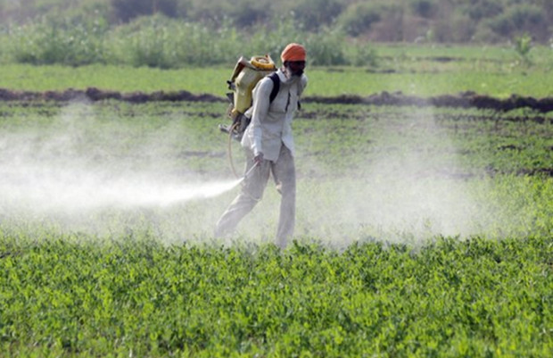 Пестицидите имат своето полезно действие в земеделието. Притеснителното е в