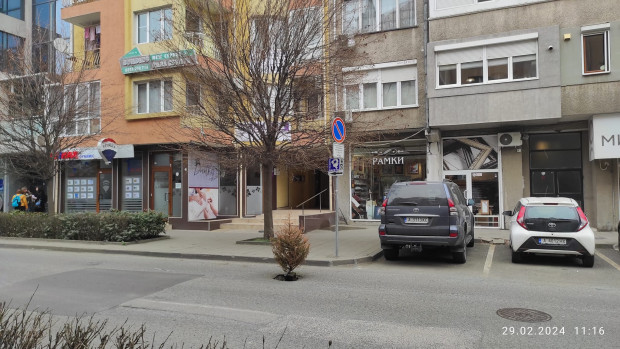 TD Малка елхичка е поникнала в асфалта на бургаската улица Цар