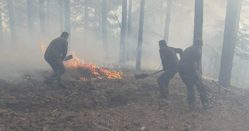 Голям горски пожар край Сатовча