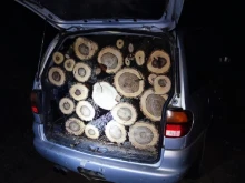 Задържаха два автомобила с незаконна дървесина след среднощна гонка във Врачанско 