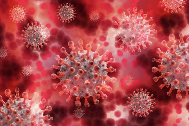 TD 18 са новите случаи на коронавирус у нас Направени са