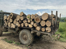 Иззеха незаконно добитата дървесина, мъж се сдоби с акт по Закона за горите