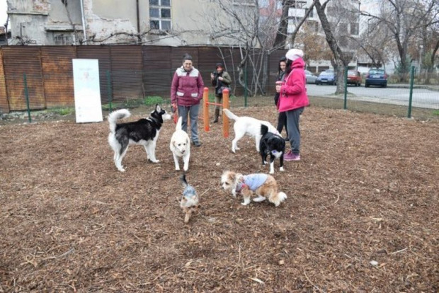 TD Община Пловдив напомня на притежателите на домашни кучета че съгласно