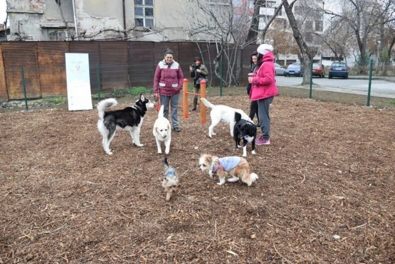 Важно за собствениците на кучета в Пловдив