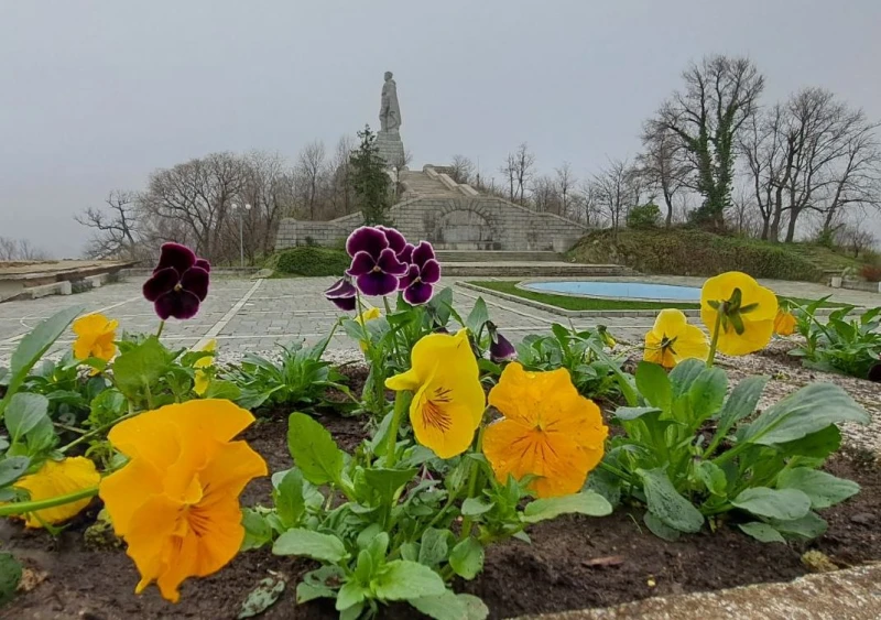 2000 пролетни цветя засадиха на Бунарджика в Пловдив, пътеките към върха са почистени