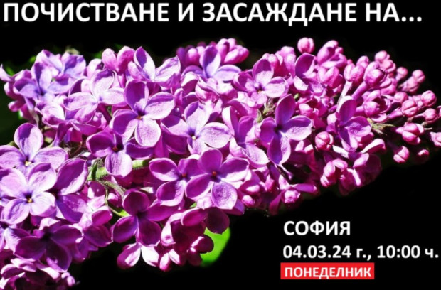 Столичния район "Банкя" ще се включи в инициативата за почистване на гробищни паркове и засаждане на цветя