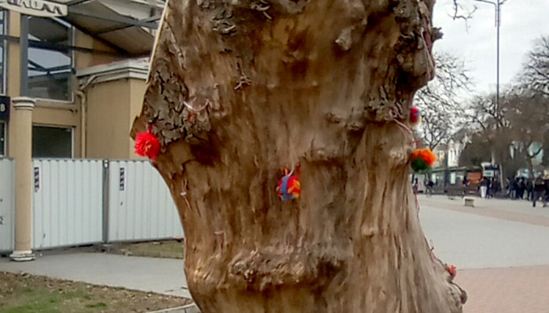 В нестандартна арт пластика е превърнато сухо дърво пред сградата