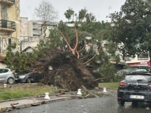 Силна буря събори дървета и вгорчи деня на туристите по Френската Ривиера