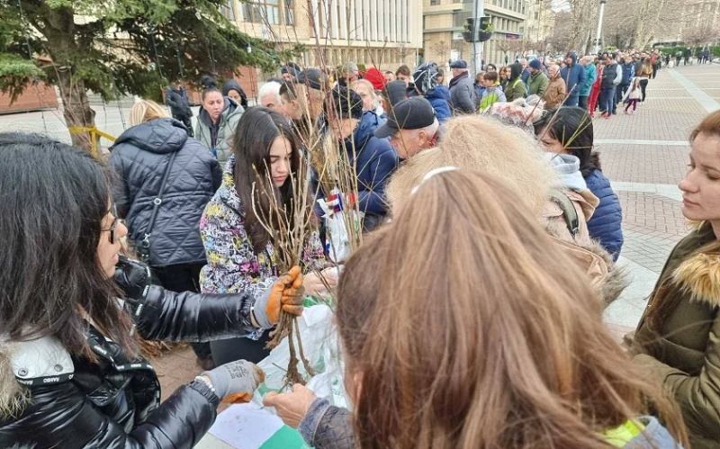 На площада в Кюстендил раздават плодни и паркови дръвчета