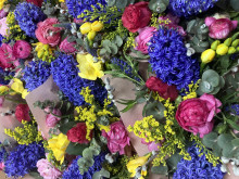 Съветът на експертa за 8 март: За гаджето купи ароматни пролетни цветя, но за мама и баба заложи на саксия