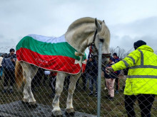 В Костинброд се проведе конно състезание по случай 3 март